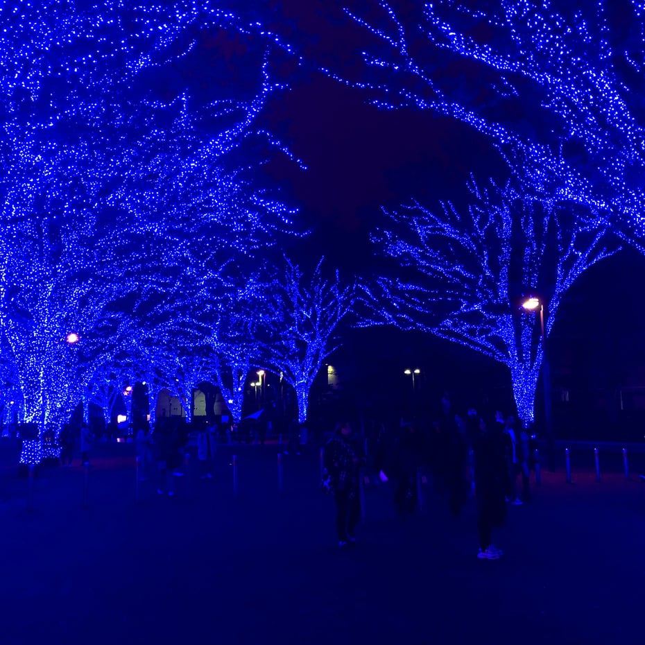 Iphoneでイルミネーションを綺麗に撮影するには 基本操作から応用までレクチャー