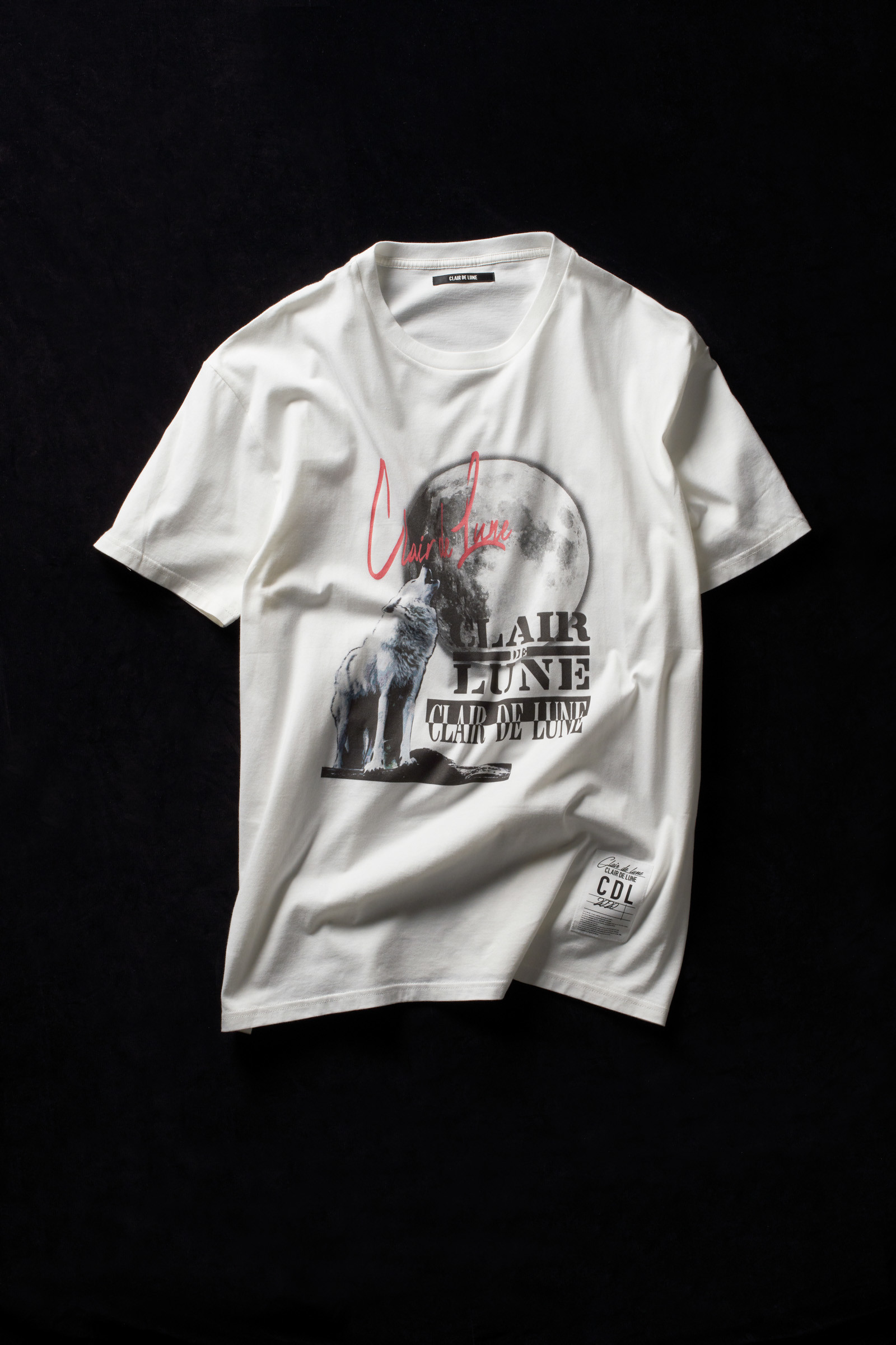 登坂広臣 clair de lune Tシャツ 初期 - タレントグッズ