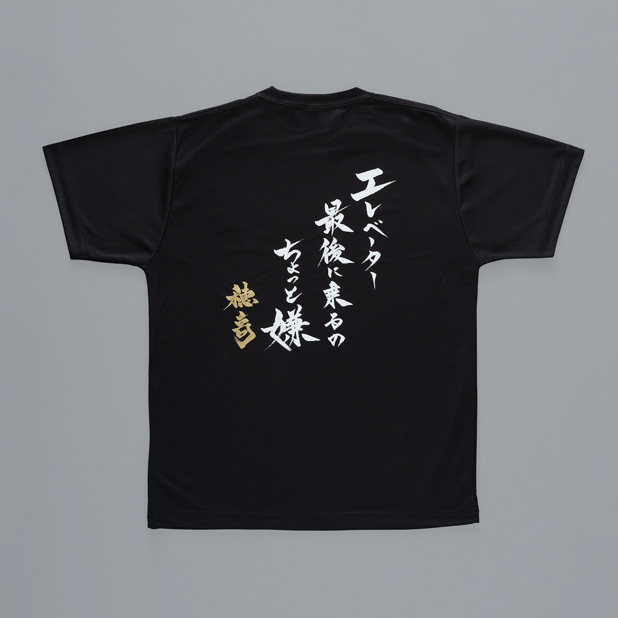 西武ライオンズ メンズTシャツ 【限定販売】 - ウェア