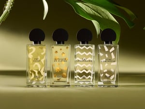 ͥkե쥰󥹡쥼  եꥯkӡϣ٤ʥեꥫbԭϤʹ