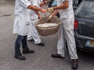 �ե�󥹰k�ե쥰��󥹥ޥ�����Nez�������������ϴǵ䣺Vol.2 ���㥹�ߥ�