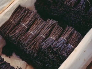 フランス発フレグランスマガジン「Nez」がおくる香料辞典：Vol.1 バニラ