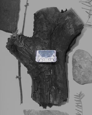 F/CE.がジュエリーブランド「メイプル」とコラボ　初のシルバージュエリーを発売