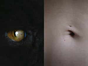 写真家 長田果純の展覧会が開催　新作を公開