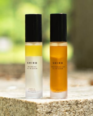 ��SHIRO�����饪���륤�󥻥��2�N����̤�Ǭ��ȏ����ղ���A���Ĥ���