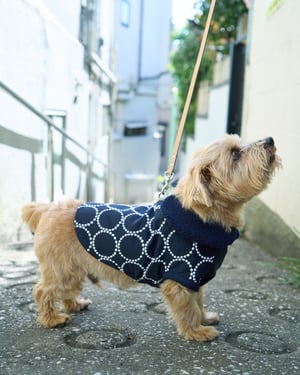 ミナ ペルホネンが犬用アイテムを発売、コットンジャカード素材を採用したウェアなど