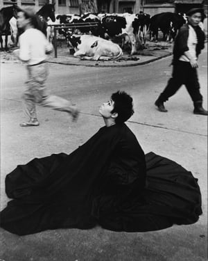 �����Υ��`�ȥ��ک`����PURPLE��������ä�д��չ���_�ߡ��ޤ˥ե��`����������Ʒ�����¶