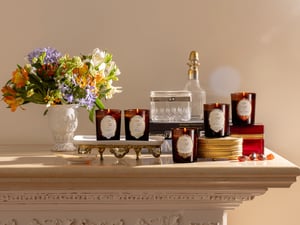 ܥ󡹤¥ɥ륳쥯󤬵ǈN5N饤ʥå