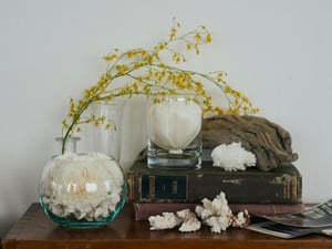 ������ե��`������`������긶���˥�˥�`���롡�r�g�ȤȤ��ɫ�Ť��ǥ��ե�`���`��