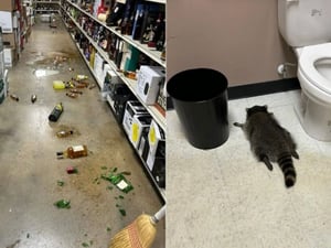 アメリカのZ世代がアルコール離れ　レストラン業界に深刻な打撃