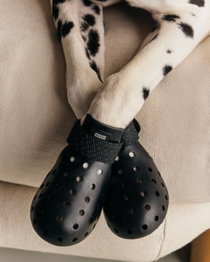 キスが初のペットコレクション発売　NY発「ワグウェア」とコラボ