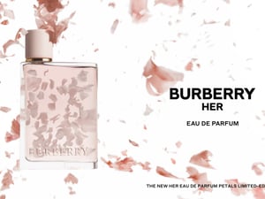 ���Щ`�Х�` �ӥ�`�ƥ���������ˮ���޶��ǥ�����ǈ����ܥȥ��ڤ�ԥ󥯤λ��Ӥ餬�褦