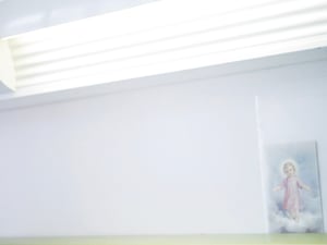 川口市立美術館で「蜷川実花展」開催　若き日の両親や写るアルバムを複写した新作を初公開