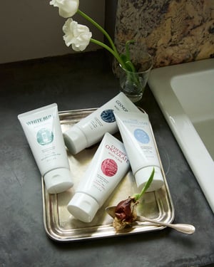 「ミュシャ」が4つの香りのボディスクラブを発売　植物由来オイルでしっとり肌へ導く