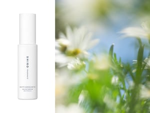 SHIROから数量限定の新作「ホワイトマーガレット」が登場　3アイテムを展開