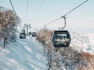 ���Ǥ�ޤ�����롰NOZAWA�������`���ƥꥯ����Ѳ��Ұ�g��Ȫ�����`������