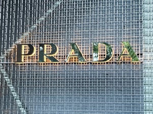 �ץ������`��25��ͨ�ڤω��ϸ�8�������ߥ奦�ߥ奦��35�����ȳ��L�A��