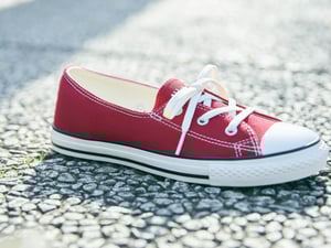 �ѥ�ץ��˘��Υ���Щ`�������`�륹���`�����ǈ���ȫ4ɫ��饤��ʥå�