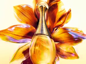 �ꥢ�`�ʤ�������ե쥰��󥹡��ǥ����`�뤬������ɩ`�� ����ƥ󥹡���k��