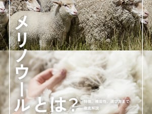 天然のエアコン？夏でも快適なメリノウールの全てを専門家が解説
