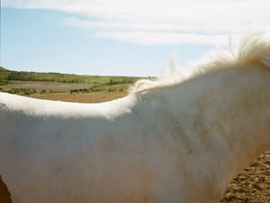 写真家・黄瀬麻以の個展「distracted driving 01」がHIKEで開催