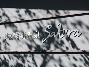 「東京染井温泉 Sakura」都内屈指の高スペック施設をレポート