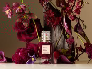 ���Ĥǿ������F�D�ˤ����Ҥ����롡���������ƥ��� �ӥ�`�ƥ������������ե쥰���