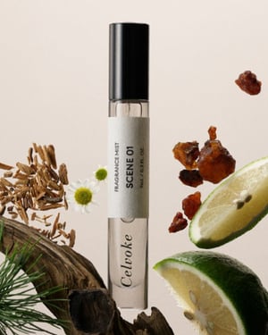 `ե쥰󥹤12Nξͤʤg䤫ꡡåץޥͬ12Nݱʪɷ