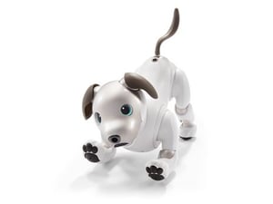 ソニーがロボット「アイボ」の国内販売終了を発表　2008年に復活してから約8年