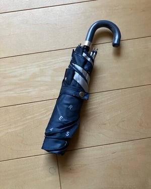 【コラム】今夏の猛暑予報で日傘デビューを決めたという話