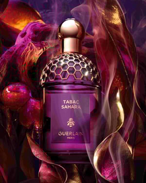 ���ܤǥߥ��ƥꥢ���ʥ��Х�����ꡡ����󡸥��ץ���� ���쥴�ꥢ�������������ǈ�