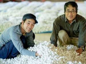 家庭で手軽に養蚕体験　日本サステナブルシルク協会が飼育専用キットとアプリを開発