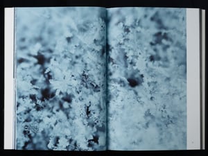 `ɥg޶ꡡȻѧѧ`ȡݩ`Ĥʤ800Ԥx