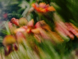 柿本ケンサクの写真展が開催　ガラス作家の作品をレンズに用いて制作