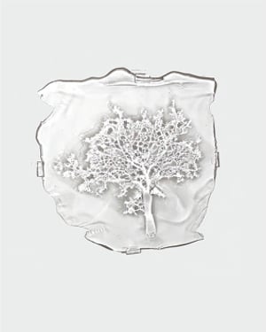 “写真の真髄”を再考　アーティストの相川勝が個展開催