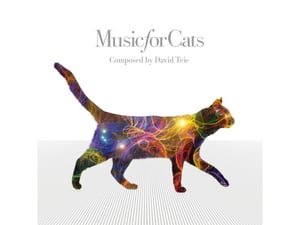 猫が好む「ねこのための音楽」が2月22日（猫の日）に発売