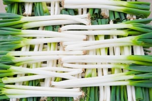 農業カメラマン網野文絵による写真展 ｢撮れたて野菜｣が開催