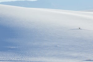 Yoshihiro Makinoがニューメキシコ州の白い砂丘を撮影した新作を発表