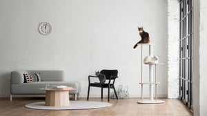 カリモク家具の猫用木製家具を展開する新ブランド「KARIMOKU CAT」がデビュー、RINNと協業