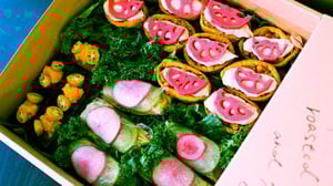 【インタビュー】ヴィーガン料理「SUNPEDAL」オーナーYOKOに聞く、ライフスタイルの選択から見える多様性