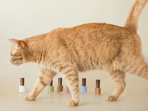ヘアメイクアップアーティスト松田未来が手掛ける「リーカ」から猫コレクションが登場