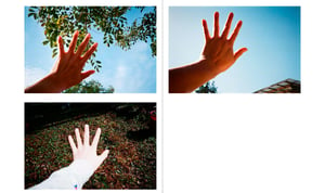 フルール・ファン・ドーデワードによる展覧会「left hand right hand」が恵比寿POSTで開催