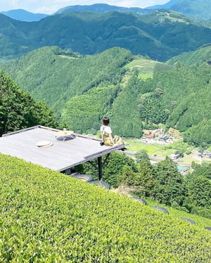 天空にいるかのような絶景、静岡県豊好園の「天空の茶の間」に注目