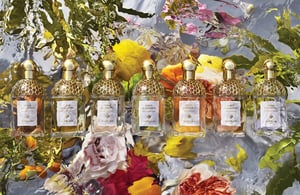 「ゲラン」が人気香水「アクア アレゴリア」をサステナブルにリニューアル　5月20日の「世界ミツバチの日」に合わせ支援活動も