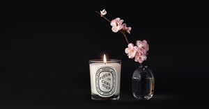 「ディプティック」桜の香りの限定キャンドル発売　売上の一部を桜の木の植樹活動に寄付