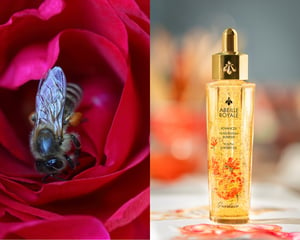 「ゲラン」がミツバチ保護の世界的寄付プログラムを今年も開催　人気美容液の限定デザインも