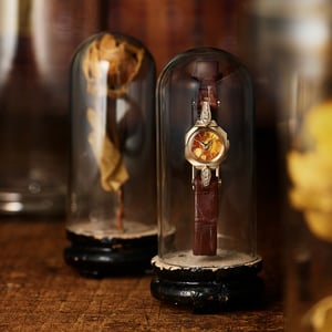 アガットが博物館学をテーマに製作した秋冬新作を発売　時計やネックレスを展開