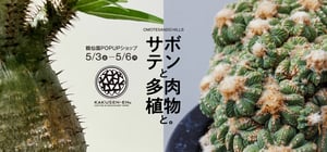 表参道ヒルズが多肉植物の専門店「鶴仙園」とコラボ、ポップアップをGW期間限定で開催