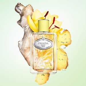 プラダのフレグランス「インフュージョン ドゥ プラダ」にジンジャーの多面性を探究する新たな香りが登場
