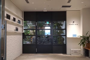 植物生い茂るオフィス、カフェや自社スタジオも　「BABYLONE」など展開する「エレメントルール」のオフィスに潜入